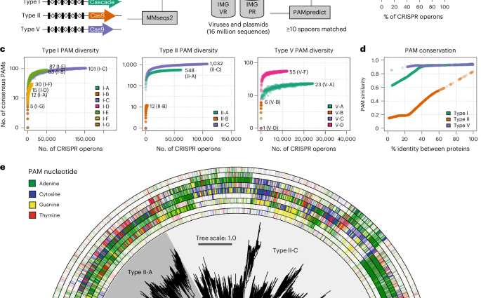 Customizing CRISPR–Cas PAM specificity with protein language models