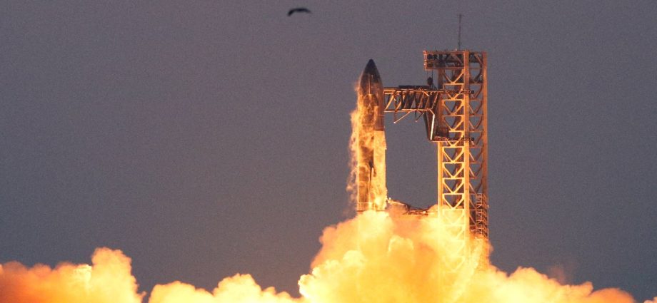 musk-merges-spacex-and-xai-firms,-plans-for-space-based-ai-data-centres