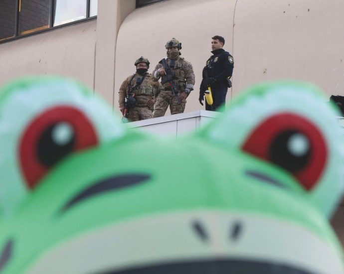 how-street-level-direct-action-is-challenging-the-traitor’s-authoritarianism