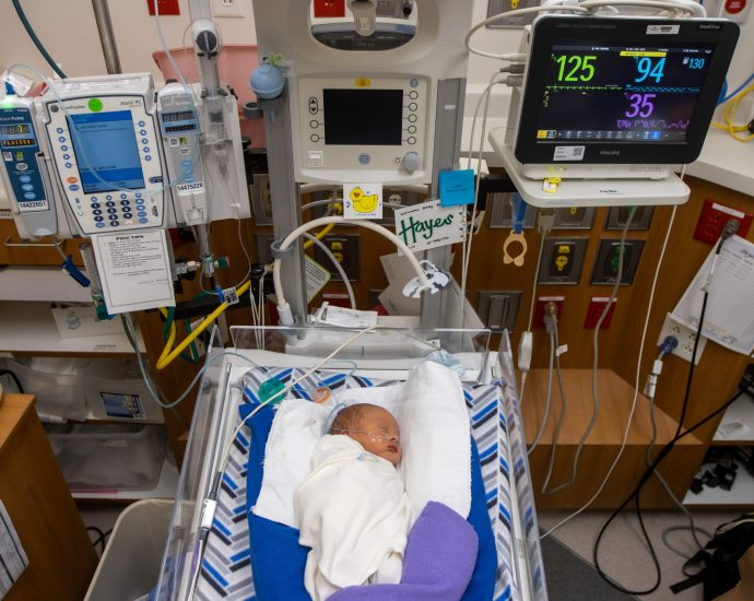 us-hospitals-report-broad-infection-declines,-safer-outcomes-in-the-nicu