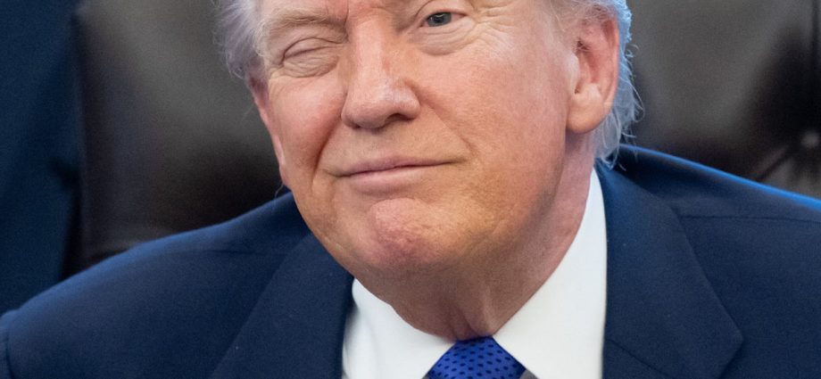 think-the-high-court-will-save-you-from-the-traitor’s-12-figure-import-taxes?-think-again.