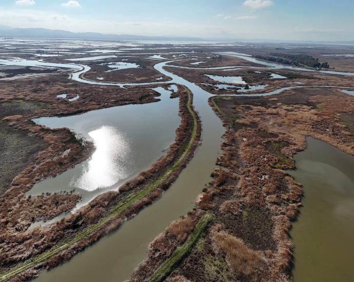 Inside the polarizing plan to stash carbon in a California wetland