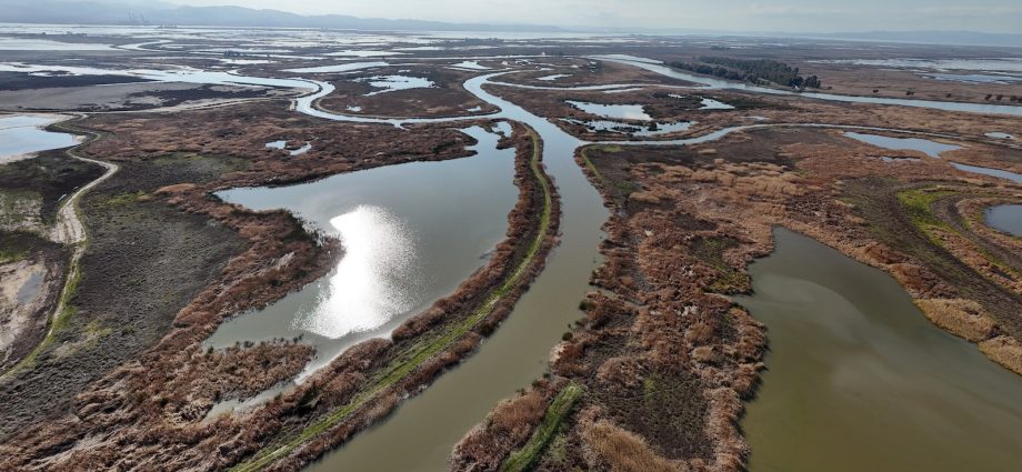 Inside the polarizing plan to stash carbon in a California wetland