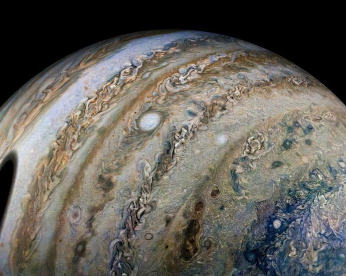 ‘Textbooks will need to be updated’: Jupiter is smaller and flatter than we thought, Juno spacecraft reveals