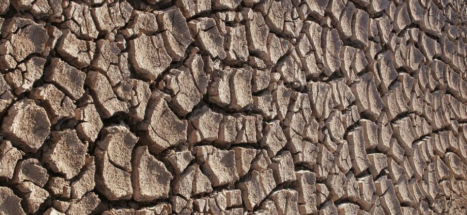 curse-of-ai-to-push-up-pc-prices-as-memory-and-cpu-shortages-bite