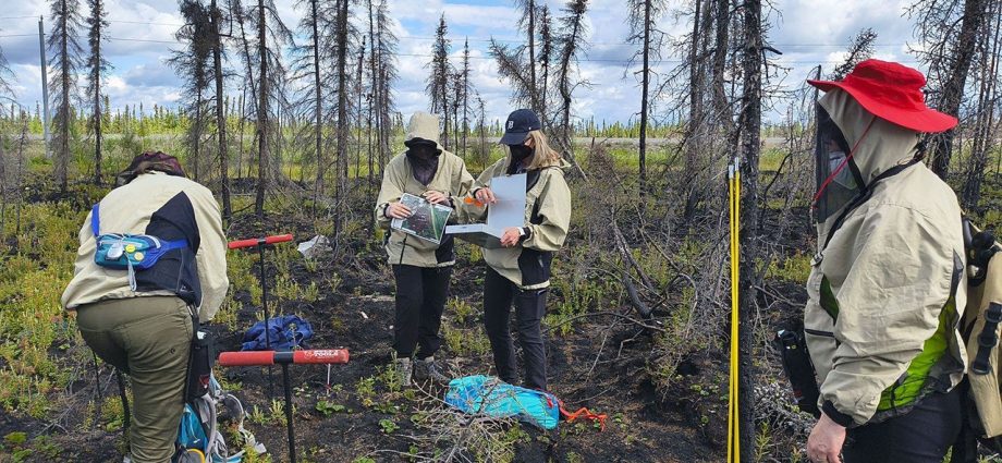 fire-effects-from-the-2023-drought-and extreme wildfire-season 