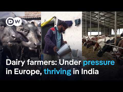 why-these-farmers-can-thrive-in-india-but-struggle-in-europe-|-dw-news