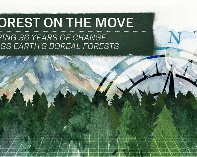 boreal-forests-are-shifting-north