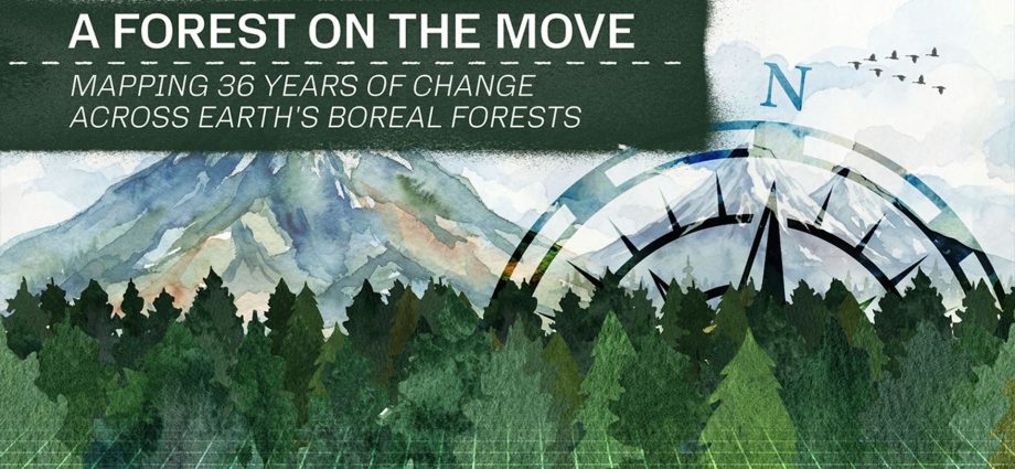boreal-forests-are-shifting-north
