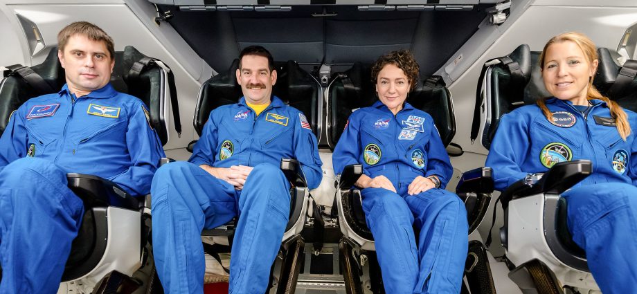 nasa-sets-coverage-for-agency’s-spacex-crew-12-launch,-docking