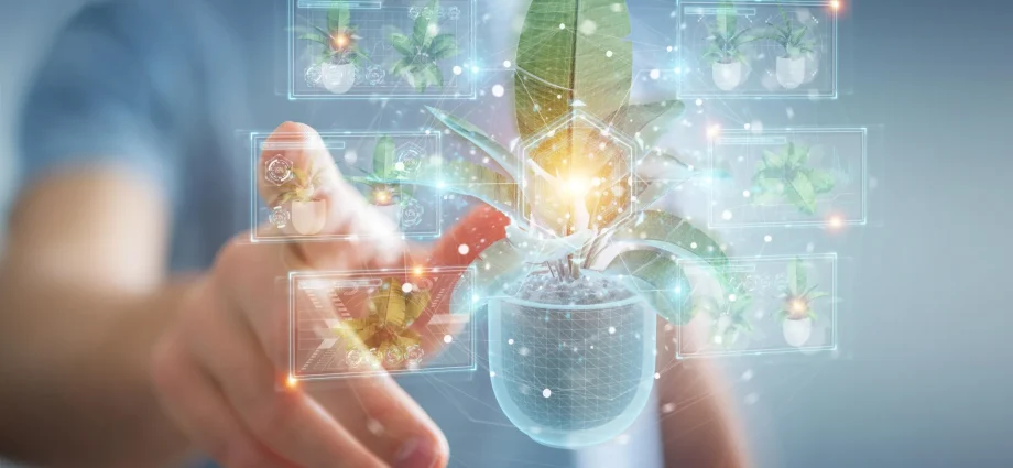 this-unexpected-plant-discovery-could-change-how-drugs-are-made