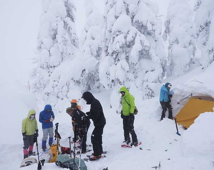 heavy-snowfall-in-japan-leaves-at-least-45-dead,-more-than-500-injured