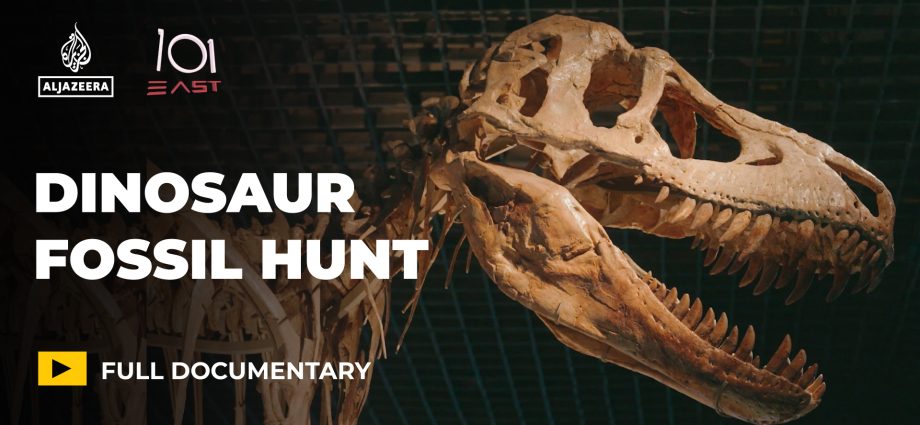 dinosaurs-for-sale:-is-the-global-fossil-market-harming-science?