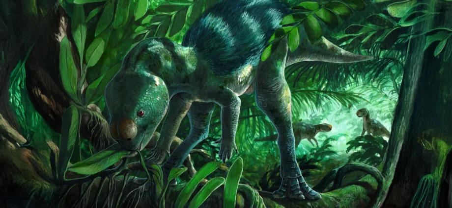 this-strange-little-dinosaur-is-forcing-a-rethink-of-evolution