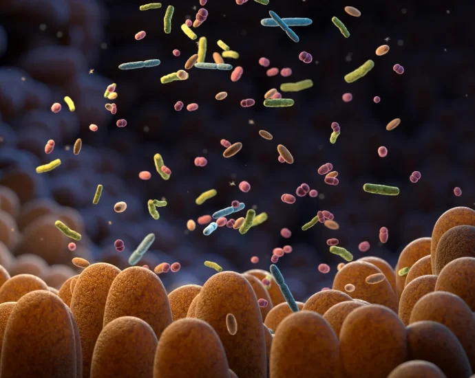 gut-bacteria-can-sense-their-environment-and-it’s-key-to-your-health