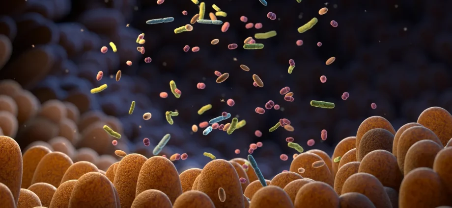 gut-bacteria-can-sense-their-environment-and-it’s-key-to-your-health
