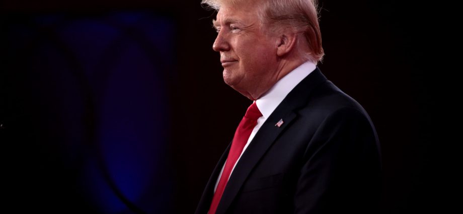 canada-pension-plan-is-bankrolling-the-traitor’s-fossil-fuel-and-ai-agenda