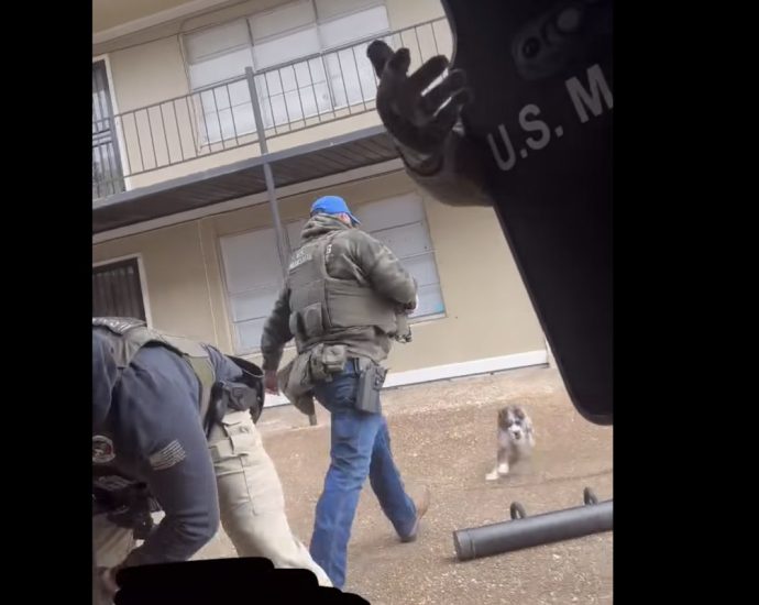 us.-marshals-defend-viral-video-of-agent-kicking-a-dog