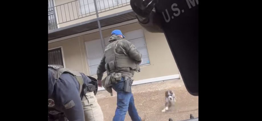 us.-marshals-defend-viral-video-of-agent-kicking-a-dog