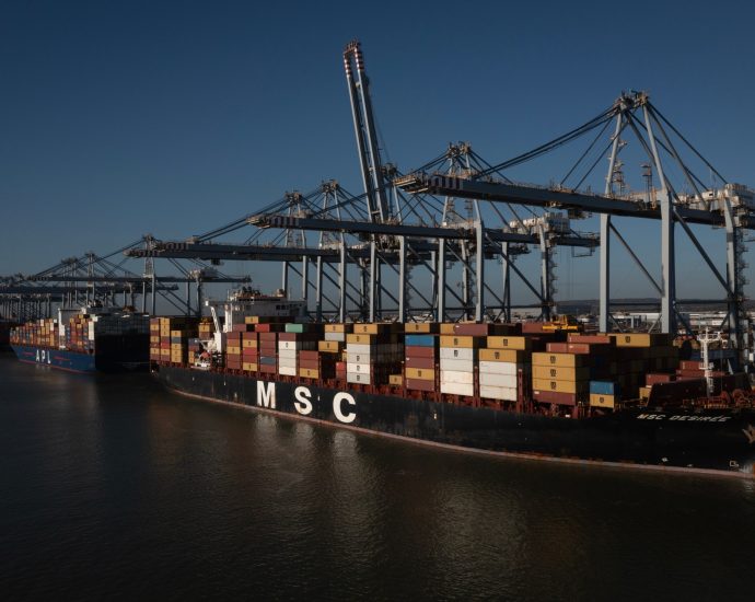 shipping-giant-msc-facilitates-trade-from-israeli-settlements-through-eu