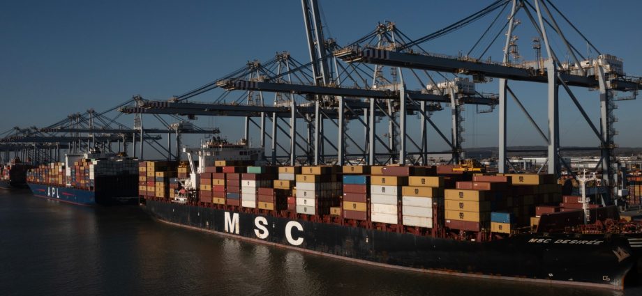 shipping-giant-msc-facilitates-trade-from-israeli-settlements-through-eu