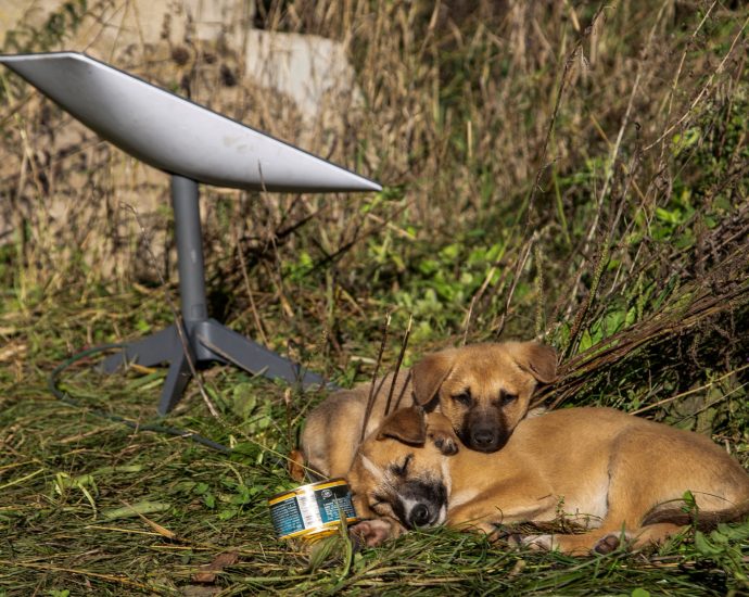 how-does-the-cutoff-of-starlink-terminals-affect-russia’s-moves-in-ukraine?