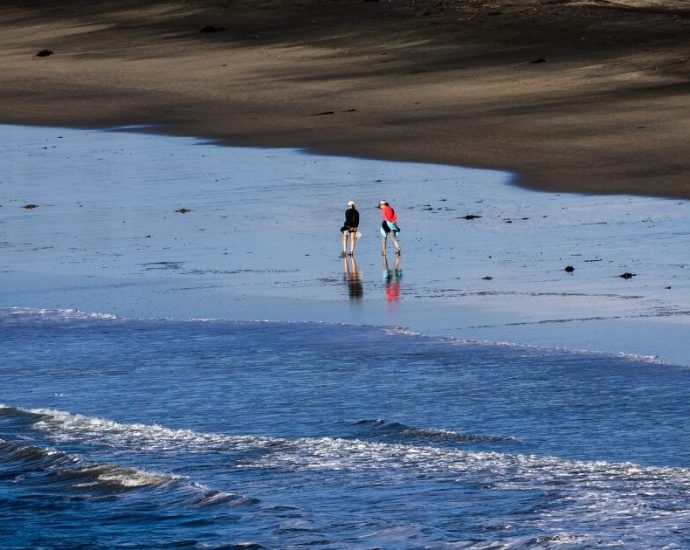 should-some-la-beaches-be-a-national-park?-it’s-being-studied.-here’s-how-you-can-weigh-in