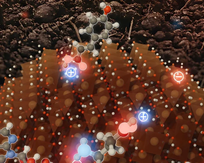 why-this-rust-like-mineral-is-one-of-earth’s-best-carbon-vaults