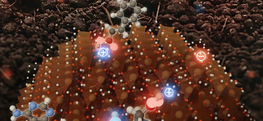 why-this-rust-like-mineral-is-one-of-earth’s-best-carbon-vaults