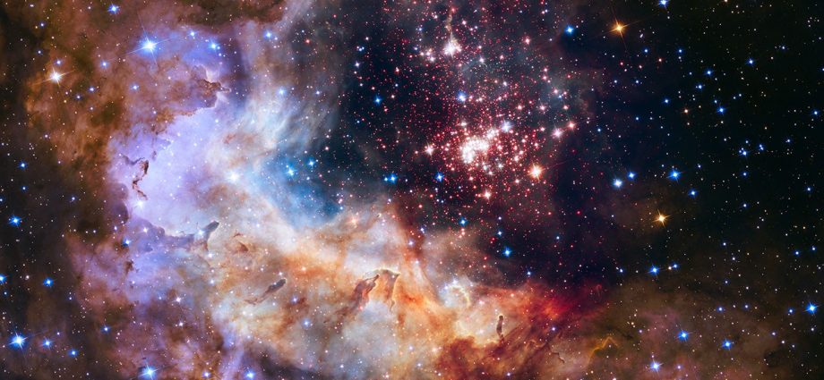 physics-of-the-cosmos-early-career-workshops