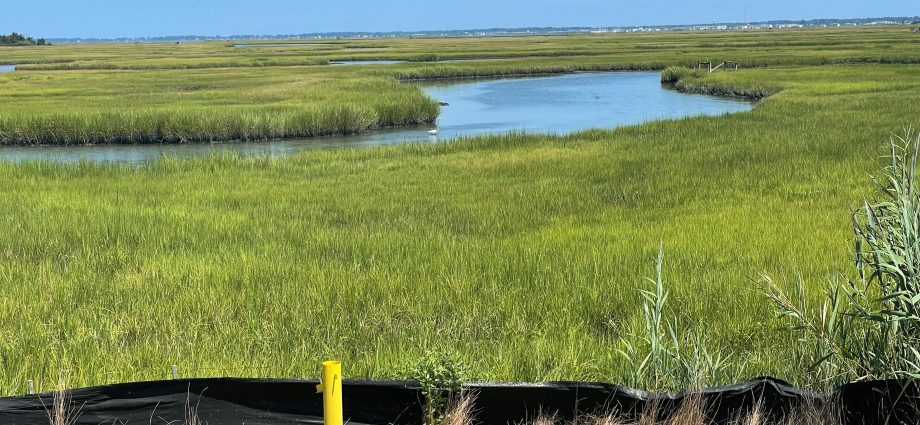 restoration-program-at-nasa-langley-research-center