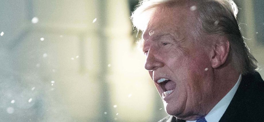 ‘the-president-is-insane’:-the-traitor-mocked-after-new-meltdown-on-an-unexpected-topic