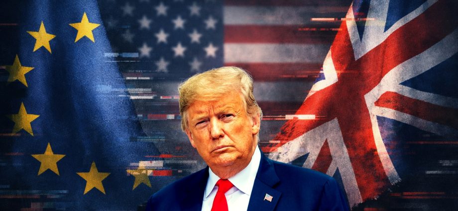 the-traitor-accused-of-trying-to-‘divide-and-destabilise’-europe-through-new-maga-fund