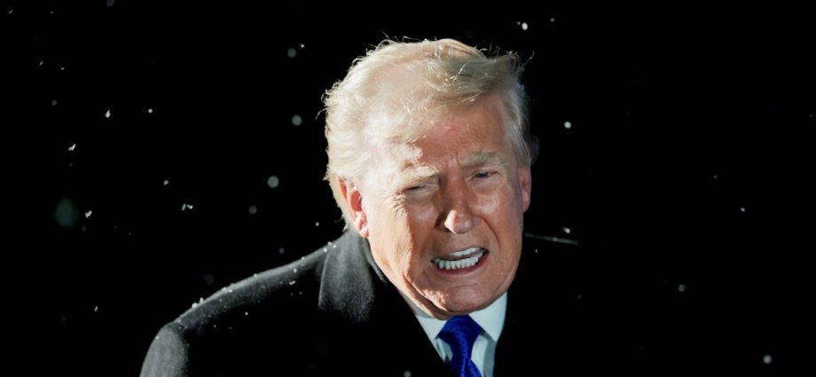 is-this-the-real-reason-the-traitor-threatened-bridge-to-canada?