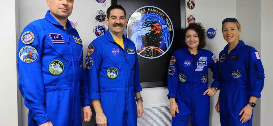 crew-12-members-and-insignia