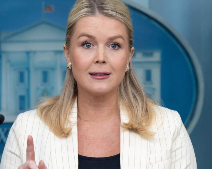 karoline-leavitt-is-asked-outright:-‘does-white-house-have-a-social-media-problem?’