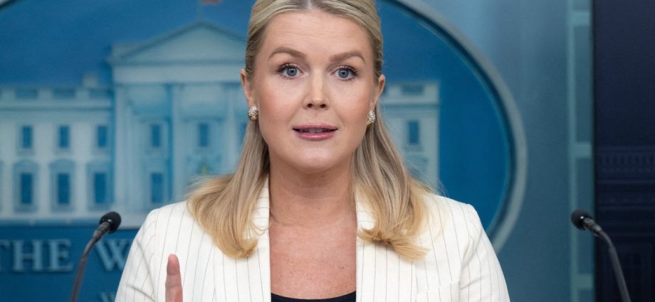 karoline-leavitt-is-asked-outright:-‘does-white-house-have-a-social-media-problem?’