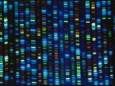 studies-test-whether-gene-editing-can-fix-high-cholesterol.-for-now,-take-your-medicine