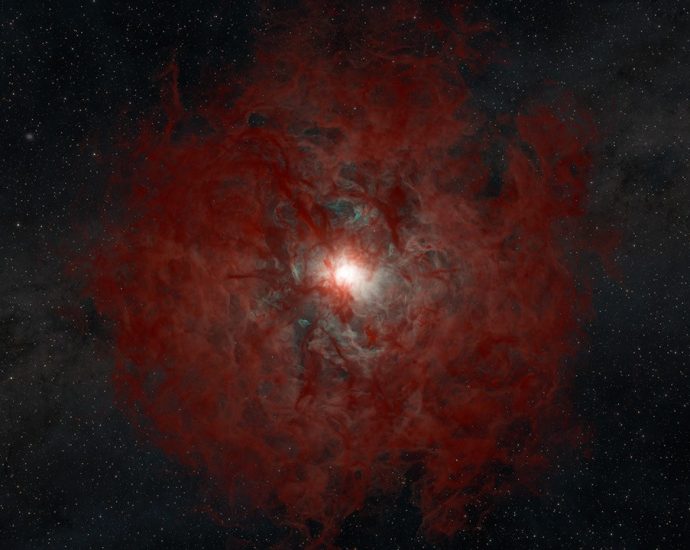 archival-data-from-nasa’s-neowise-tracks-star-turning-into-black-hole