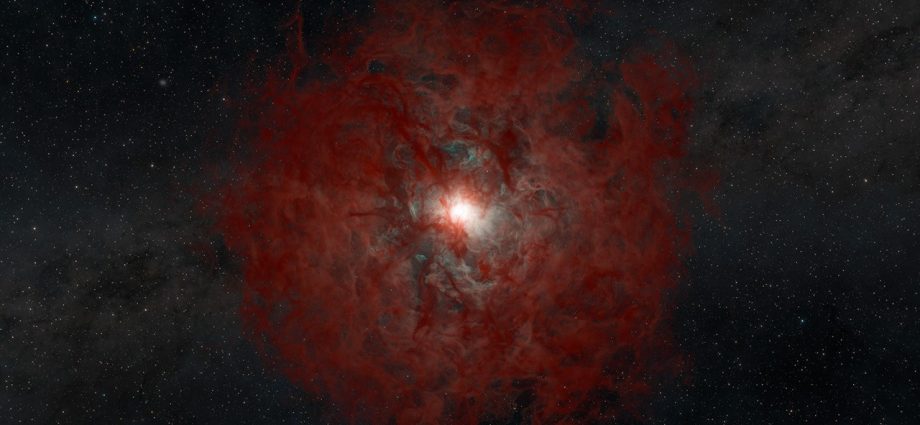 archival-data-from-nasa’s-neowise-tracks-star-turning-into-black-hole