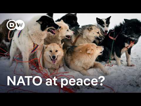 nato’s-arctic-sentry-exercise:-a-sign-of-the-alliance’s-return-to-serenity?-|-dw-news