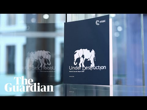 von-der-leyen,-rutte,-wadephul-and-soder-hold-press-conference-–-watch-live