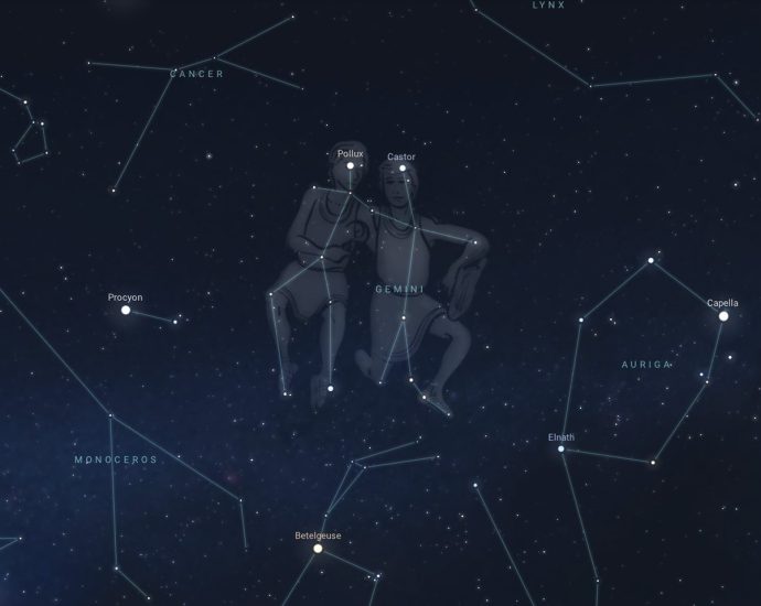 find-the-twins:-gemini-constellation