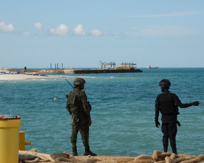 the-traitor-says-he-supports-american-oil-and-gas.-why-is-his-administration-financing-a-french-owned-project-in-mozambique?