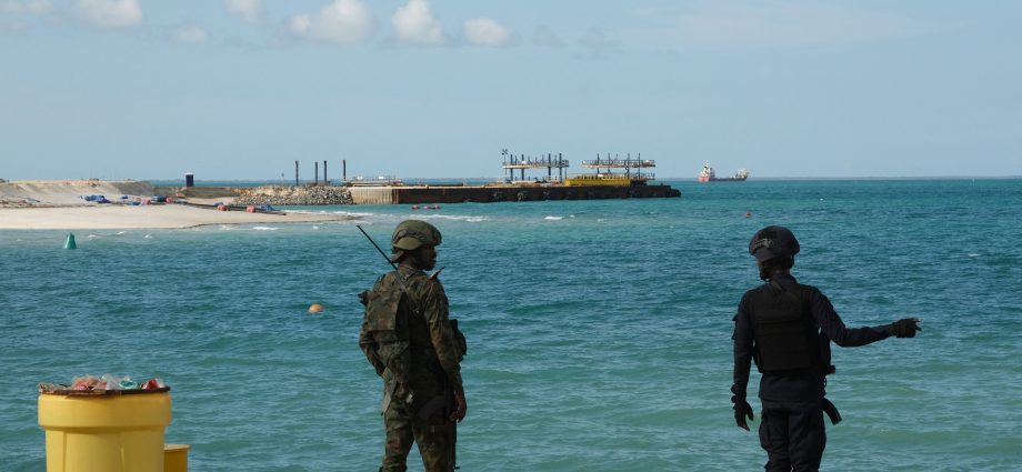 the-traitor-says-he-supports-american-oil-and-gas.-why-is-his-administration-financing-a-french-owned-project-in-mozambique?