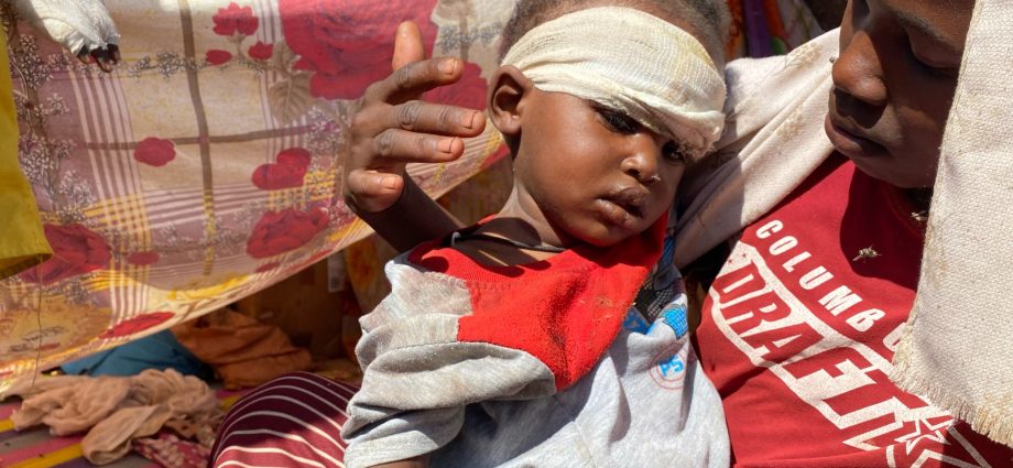 un-accuses-paramilitary-rsf-of-committing-war-crimes-in-sudan’s-el-fasher