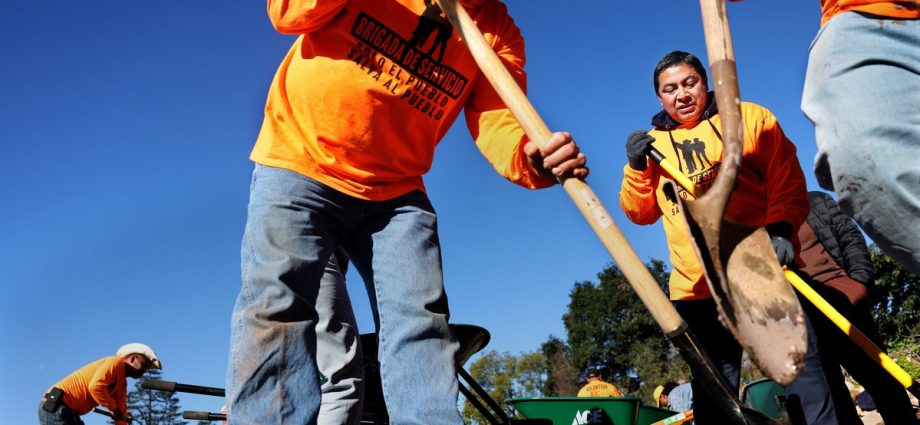 want-to-reduce-the-debt-and-lower-the-crime-rate?-bring-in-even-more-immigrants.