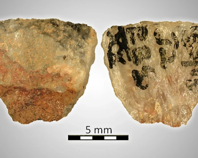 60,000-years-ago-humans-were-already-using-poisoned-arrows