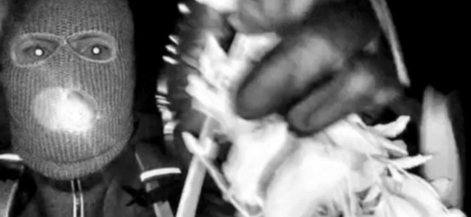 investigators-search-second-home-in-nancy-guthrie-kidnapping-case