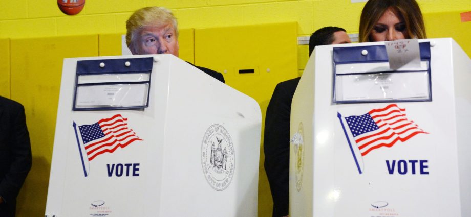 the-traitor-to-require-voter-id-for-midterms-with-or-without-congress